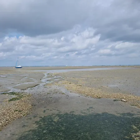 Apartment Seeschwalbe A Sehestedt (Lower-Saxony)