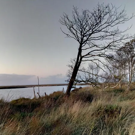 Seeschwalbe A * Sehestedt (Lower-Saxony)