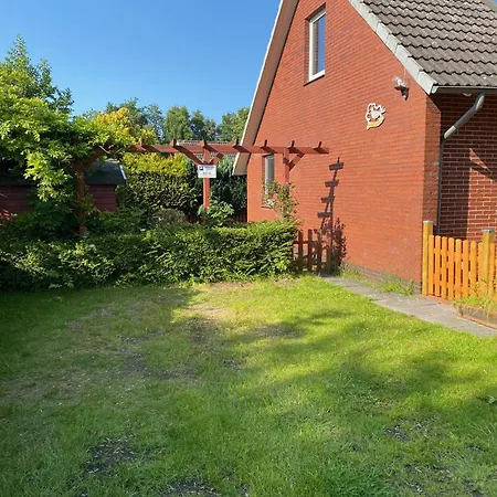 Seeschwalbe A * Sehestedt (Lower-Saxony)