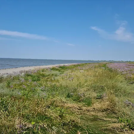 Apartment Seeschwalbe A