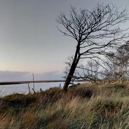 Seeschwalbe A * Sehestedt (Lower-Saxony)