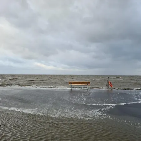 Daire Seeschwalbe A Sehestedt (Lower-Saxony)