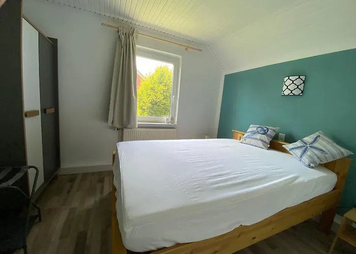 Daire Seeschwalbe A *