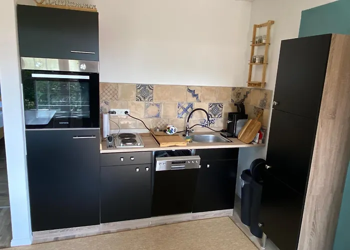 Seeschwalbe A Daire *