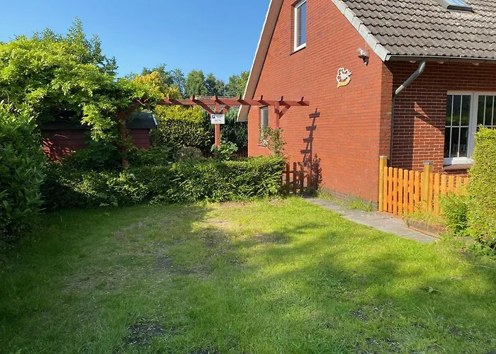 Daire Seeschwalbe A *