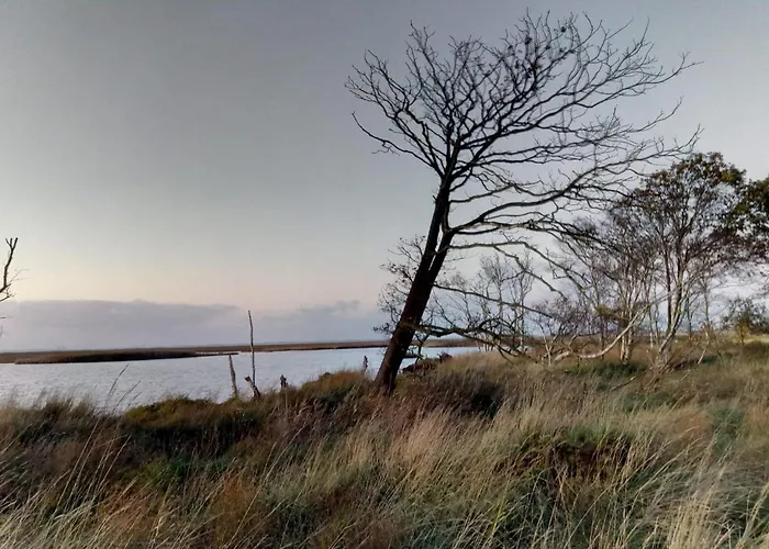 Seeschwalbe A * Sehestedt (Lower-Saxony)